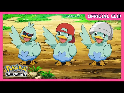 Thieving Ducklett Trio! | Pokémon: Black & White | Official Clip