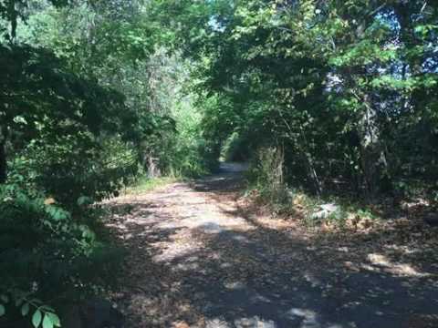 21 Chestnut Street, Weston, MA - Listed by Sheryl Simon, Amy Mizner