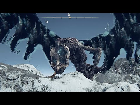 Elden Ring - Death Rite Bird Boss Fight