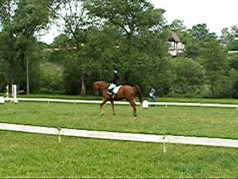 Baltic drezura Sasov Z1 09