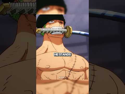 Zoro Resembles His Ancestors ⚔️