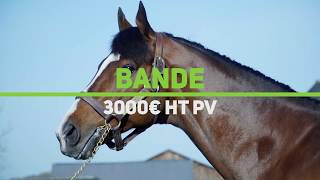 Video  de BANDE  #3