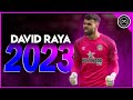 David Raya  2022/23 ●  The protector ● Best Saves & Passes Show | HD