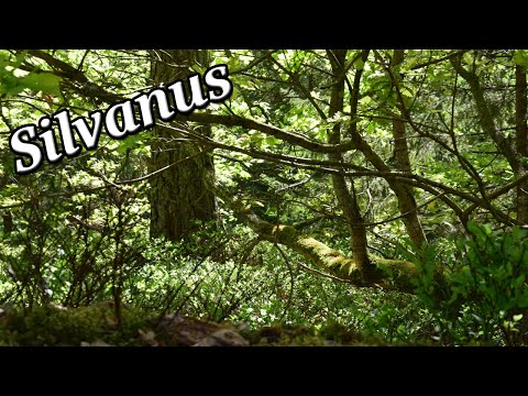 Silvanus - Roman Religion and Mythology