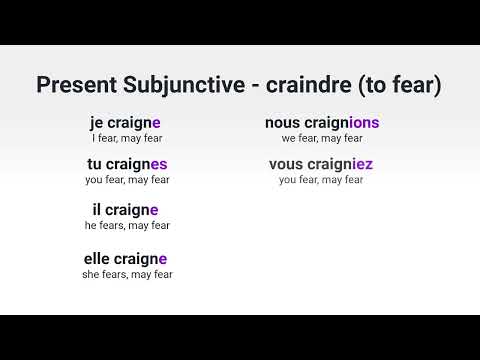 What Is the Present Subjunctive of avoir to have in French