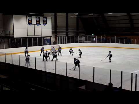 Tiikeriturnaus: Kiekko-Tiikerit 06AAA vs. Karhu-Kissat