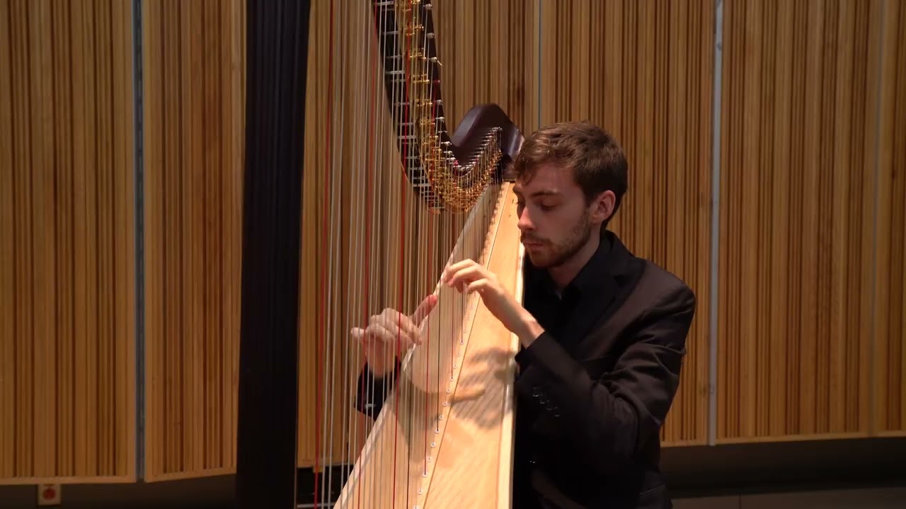 Promotional video thumbnail 4 for Kalen Smith - Harpist