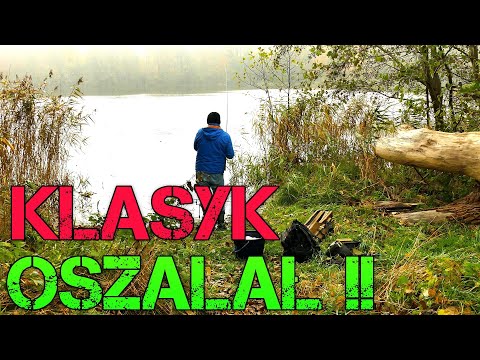 The Classic Was Crackling Under Those Fish! What Was Going On Here! Classic Feeder! Fishing! Meth...