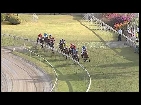 266 - The Princess Margaret Cup 2019