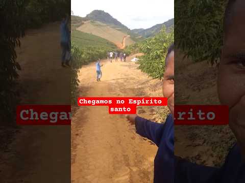 Fundão Espirito Santo. #vidanaroça #café #agriculturaregenerativa #sitio