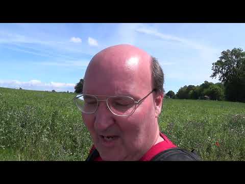 MongoTV_3171 - English Vlog_0079 - Part 3 - Timber Station In Frederiksdal