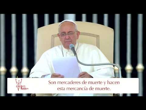 Resumen de la Audiencia General del 11/06/2014 HD