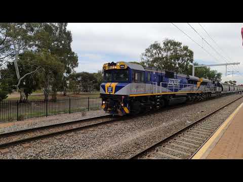 #5114S CM3305 CM3310