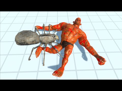 SPIDER DUO DEATH RUN