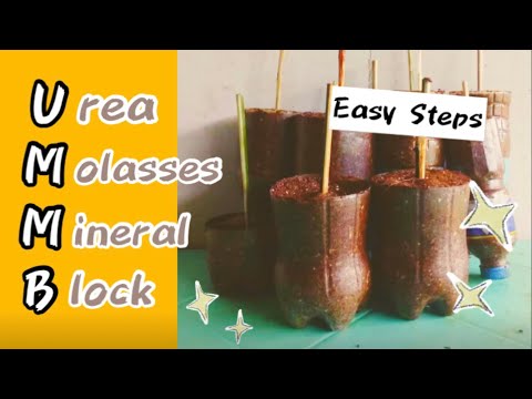 How To Make Urea-Molasses Mineral Block (UMMB)? | Ruminants