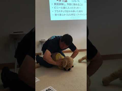 喉に何かが詰まった犬 - どうすればよいですか