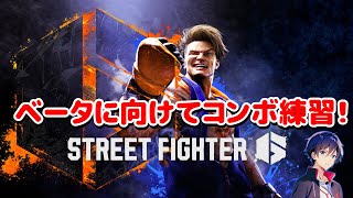 【スト6】ルークコンボ練習！【ナカユウ】