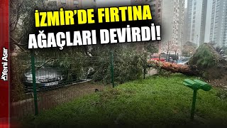 İzmir'de Fırtına Ağaçları Devirdi! Meteoroloji Uyarmıştı, Ege'de Fırtı