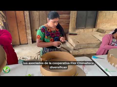 Taller de Elaboración de Piñatas