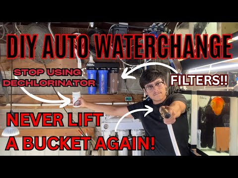 I Built the ULTIMATE Discus Auto Water Change System for My Discus Hatchery… Fully Automated, 24/7!
