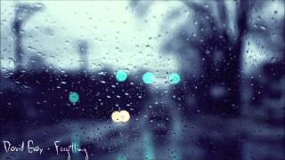 David Gray - Forgetting(rainymood)