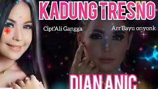 Download lagu DIAN ANIC - KADUNG TRESNO mp3