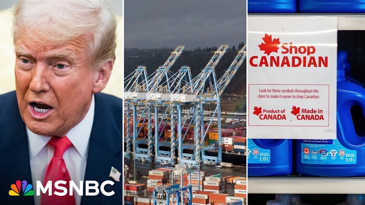 New York Times writer warns how 'Democracy Dies in Dumbness'