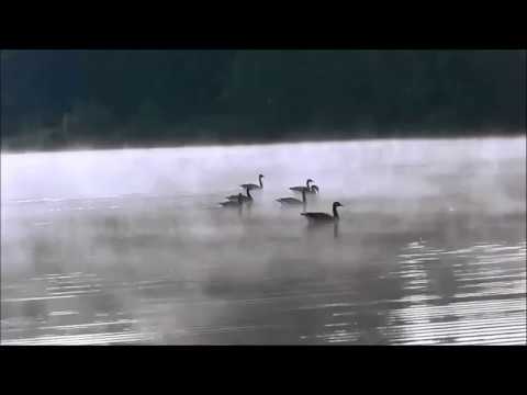 Method Feeder  mal anders