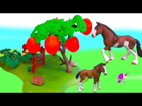 Don't Eat The Apples ! Horses Draft Horses Life Story Honey Hearts Video