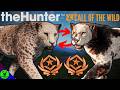 Shooting 2 DIFFERENT Jaguar GREAT ONES BACK TO BACK Call Of The Wild