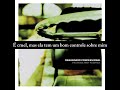Dashboard Confessional | 11 - Hold On (Legendado)