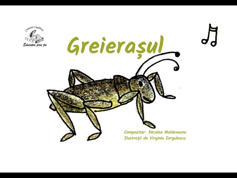 Greierașul - cântec pentru copii | Cântece cu animale | Nicolae Moldoveanu