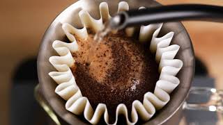 Stagg EKG - Quick Start Guide