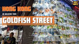 4K Goldfish Street, Mong Kok, Hong Kong | Quick Walking Tour