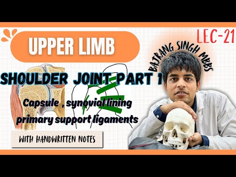 Shoulder joint anatomy (1/3) l ligaments of shoulder joint l shoulder joint capsule ,bursae