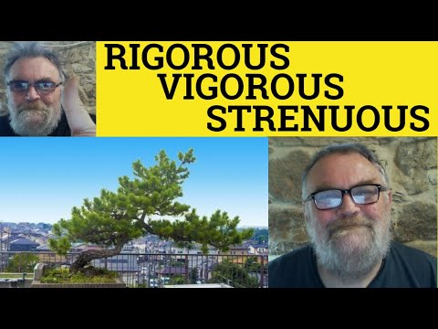🔵 Rigorous vs Vigorous vs Strenuous - Rigorous Meaning - Vigorous Defined - Strenuous Examples