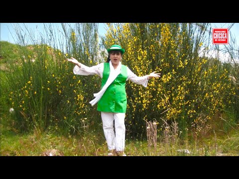 Elegiste Corazon - Wilma Contreras