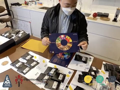 ARISE+ Unbox Sensory Green Coffee Foundation