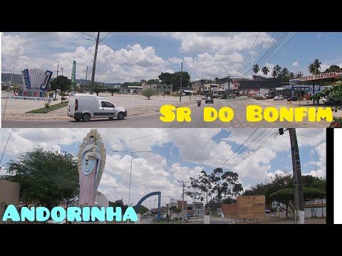 Fazendo coletas em Sr do Bonfim e andorinha nas linda Bahia.