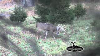 2012 Season 284" Typical w/4 Drops