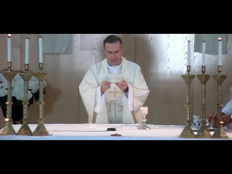La Santa Misa de hoy | Martes de la V semana de Pascua | 30-04-2024 | P. Javier Martín, FM
