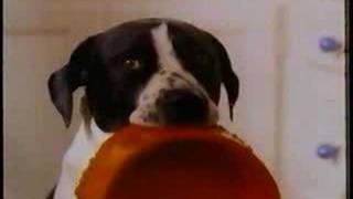 LGO Finale Theme Song