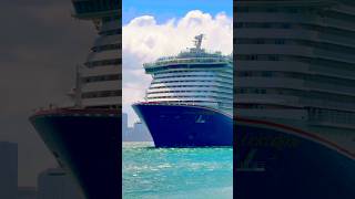 Carnival Celebration 🛳️ #share #like #subscribe #comment #cruise #vacation #shortvideo #shortsvideo