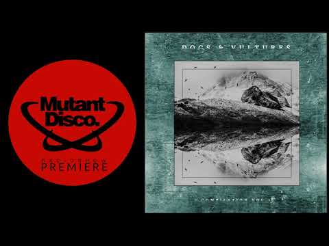 PREMIERE : Mverto Futura - No Entender (Dogs & Vultures Records)