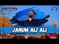 Janum Ali Ali | Slowed and reverb | (Slowed +reverb) #NS2023 #nadeemsarwar  #JanumAliAli