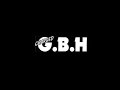 GBH - No Survivors