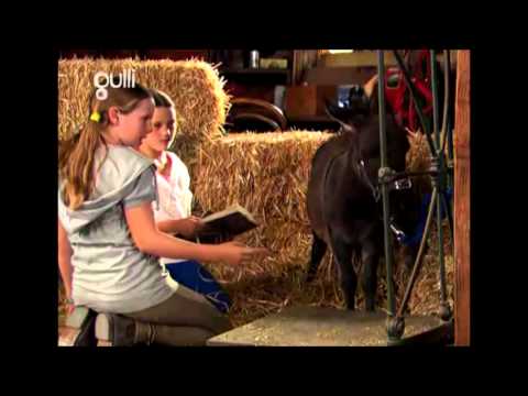 Grand Galop Saison 3 Episode 13   Le choix de Lisa partie 1