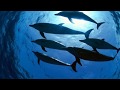 Vangelis - To The Unknown Man - HD - Velvet Lightmoth Vangelis - To The Unknown Man - HD