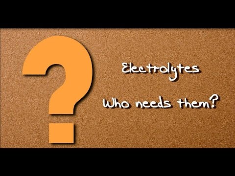 Summer Games Electrolyte for Horses (5 lb) Video