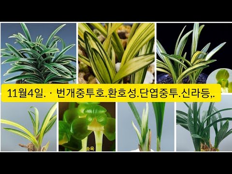 유튜브 썸네일
